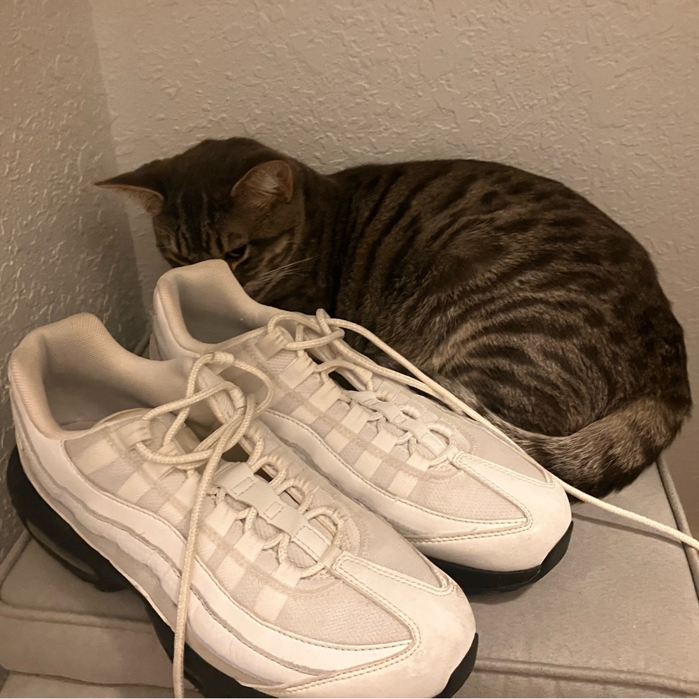 Limited Edition Nike Airmax 2018